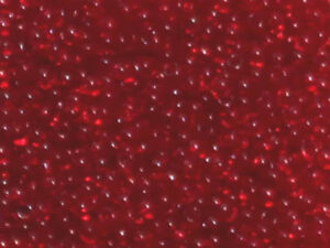 Seed Bead 9/o Dark Red transparent 50 g